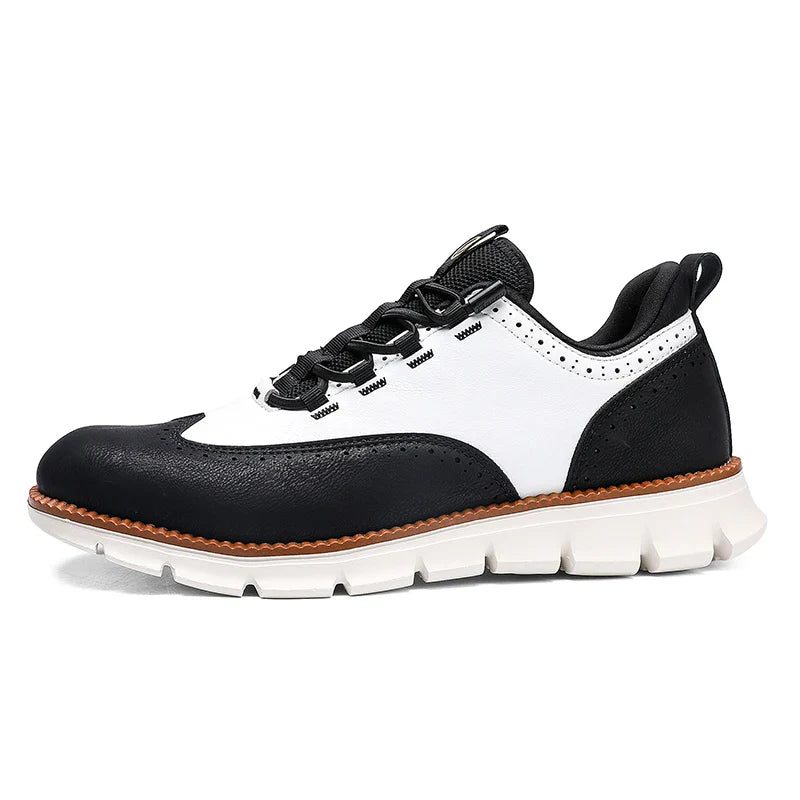 Dacian Leather Sneakers